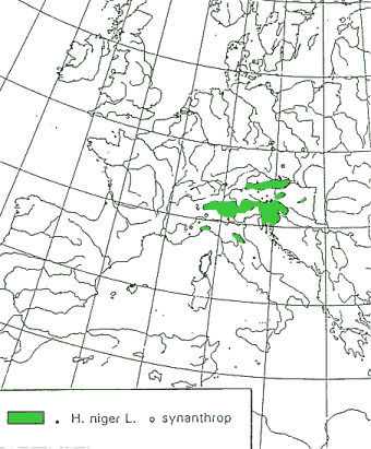 picture distribution of H. niger