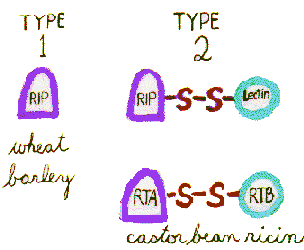 Types of RIPs