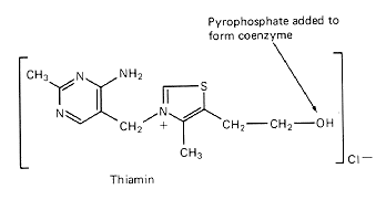 thiamin