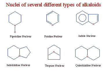 pdf the chemistry and