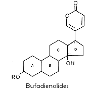 Bufadienolide structure