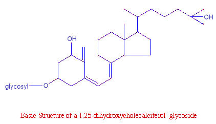 Basic structure of 1,25-dihydroxycholecalciferol