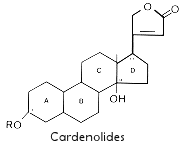 Cardenolide structure