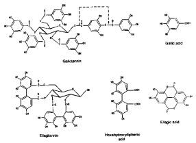 Hydrolyzable tannins